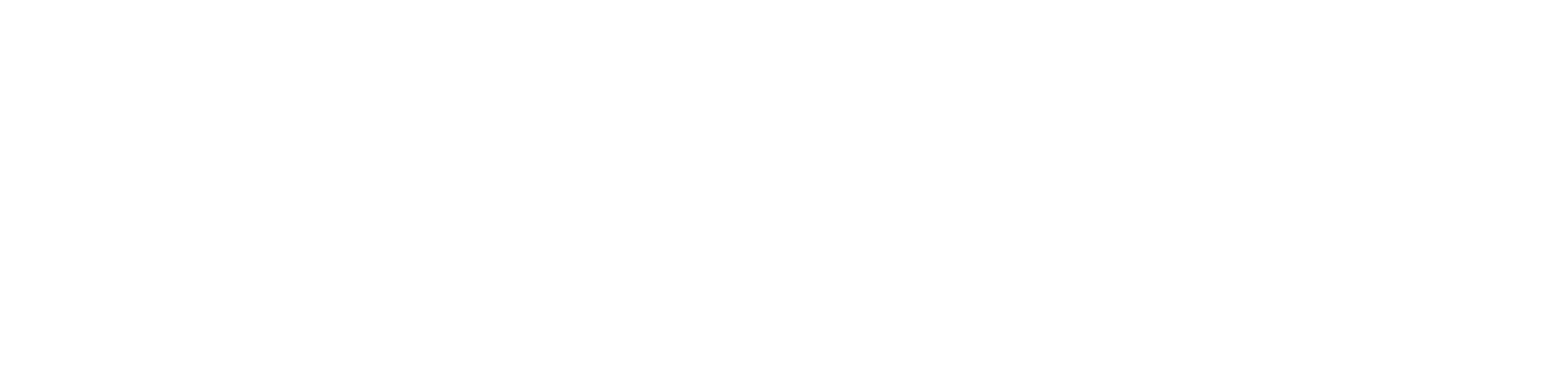 logo IN2PAST